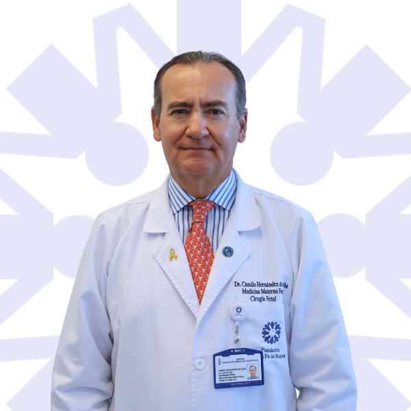 Dr. HERNANDEZ DE ALBA DE FRANCISCO CAMILO